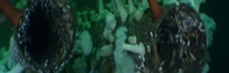 northwest wreck dives